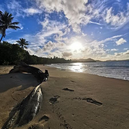 Ti'Bakoua A Sainte-Luce Plage Et Piscine Exteriör bild