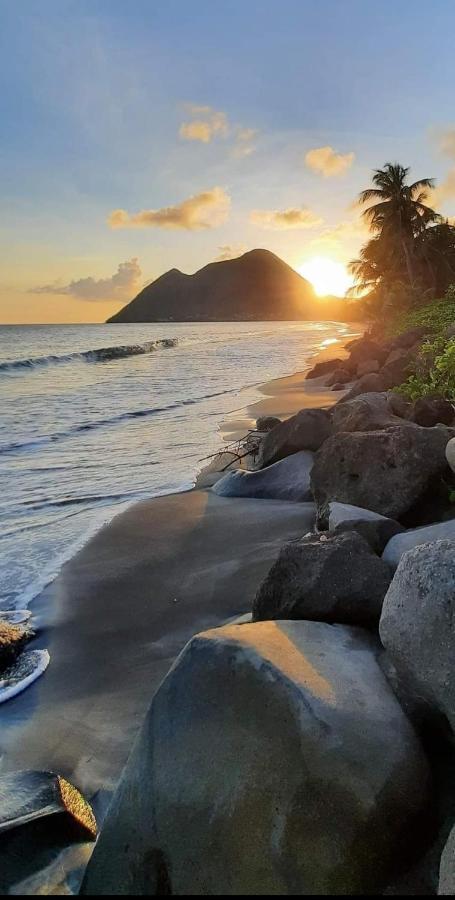 Ti'Bakoua A Sainte-Luce Plage Et Piscine Exteriör bild