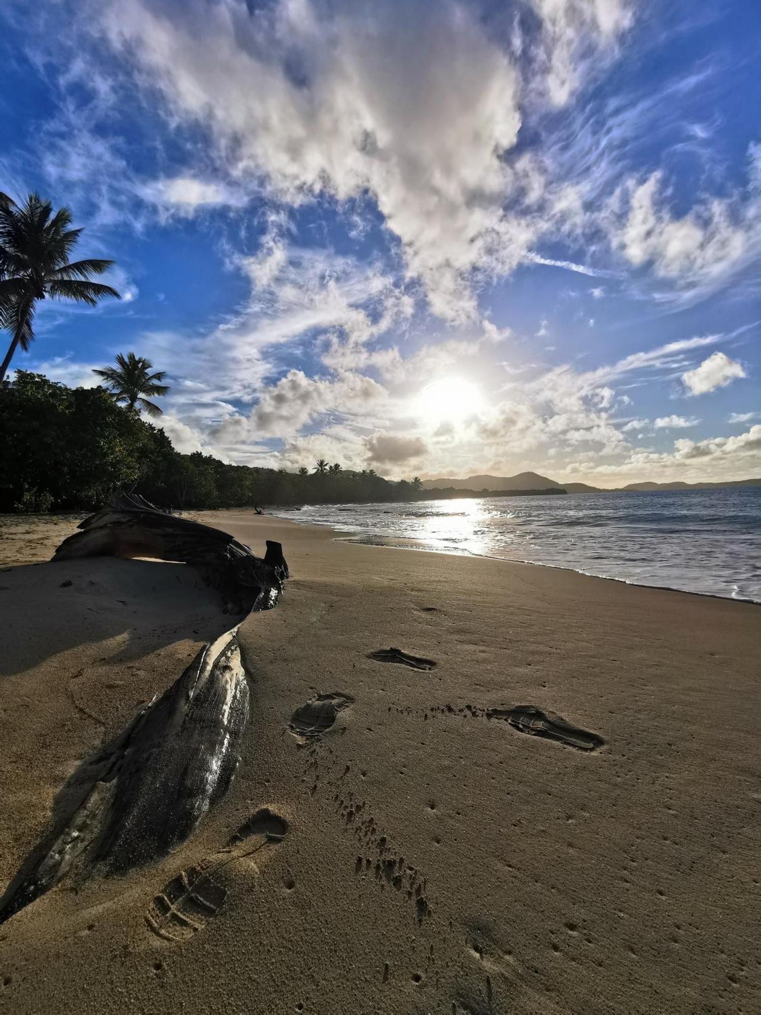 Ti'Bakoua A Sainte-Luce Plage Et Piscine Exteriör bild