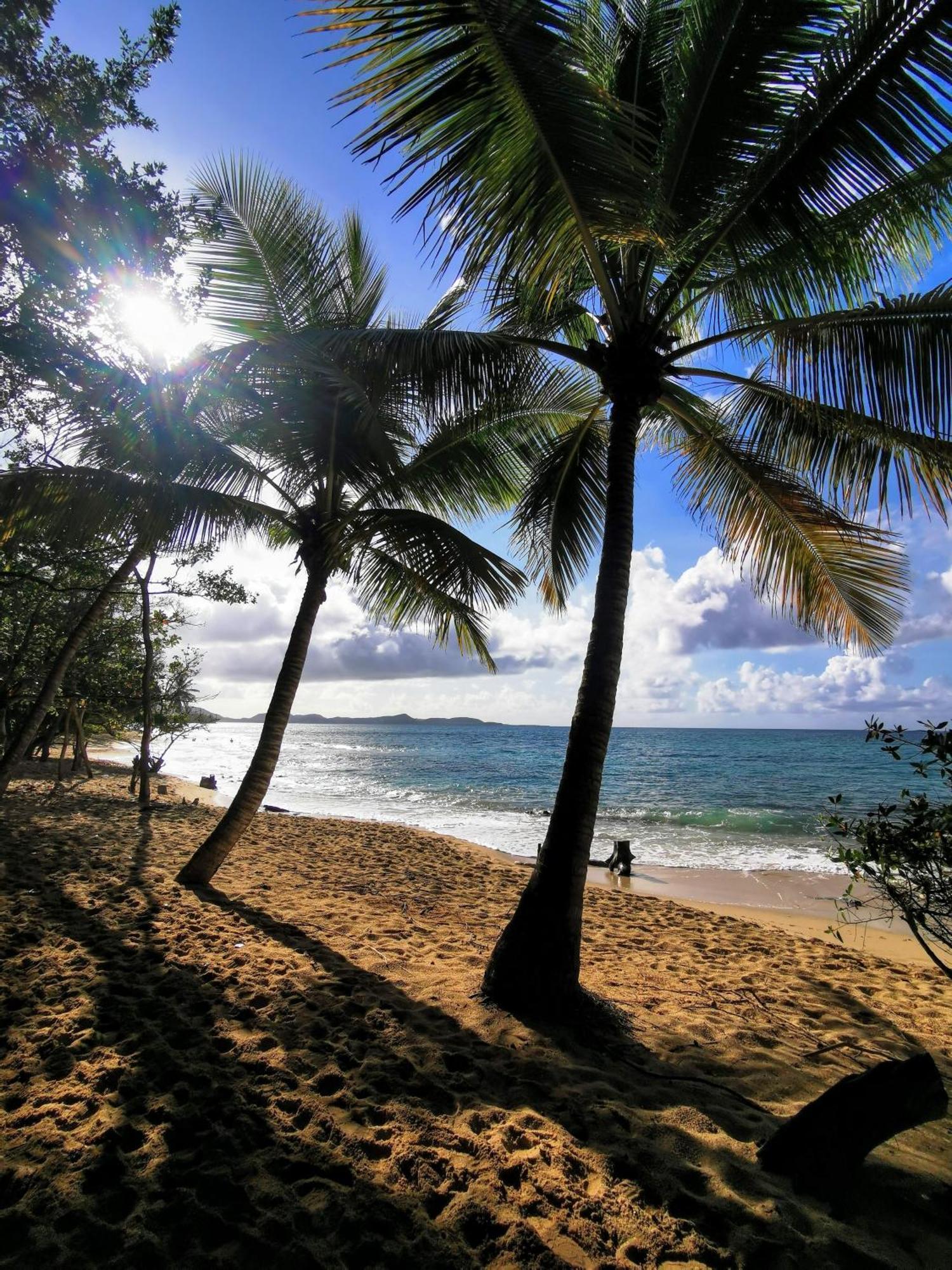 Ti'Bakoua A Sainte-Luce Plage Et Piscine Exteriör bild